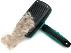 ElegaPet Hondenborstel Groen - Hondenhaar Verwijderen - Kat En Hondenkam - Slickerborstel Hond En Kat - Groomer - Ondervacht Kam Hond - Borstel Hond - Hondenborstel Langharig En Kortharig - Slickerborstel - Anti Klit/Knopen/Huidschilfers -Hondenbenodigdheden Korting 1200x902 1