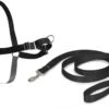 PetSafe Easy Walk® - Hondentuigje - Zwart - L - 66-91 Cm