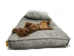 Orthopedisch Hondenkussen Grijs - Hondenmand Ribstof Premium L - Luxe Hondenbed 100x70cm - Grijs Tot 40 KG 16 Orthopedisch Hondenkussen Grijs - Hondenmand Ribstof Premium L - Luxe Hondenbed 100x70cm - Grijs Tot 40 KG -Hondenbenodigdheden Korting 1200x910 3