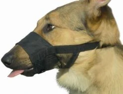 Beeztees Comfort Muilband - Hond - M - 15-20 Cm 8 Beeztees Comfort Muilband - Hond - M - 15-20 Cm -Hondenbenodigdheden Korting 1200x918