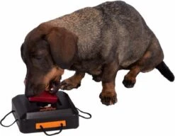 Trixie Dogtoy Dog Activity Strategy Game Gamble Box - Piepend Speelgoed - 15cm X 15cm X 9cm - Zwart/rood/oranje -Hondenbenodigdheden Korting 1200x935 2