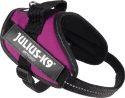 Julius K9 Julius-K9 IDC®Powertuig, XS - Mini-Mini, Donkerroze -Hondenbenodigdheden Korting 1200x941 1