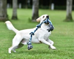 Viervoetjes - BigBoi - XXXL - Honden Touw - 100cm - 730 Gram - Honden Speelgoed - HondenSpeeltjes - Blauw/Wit/Zwart 5 Viervoetjes - BigBoi - XXXL - Honden Touw - 100cm - 730 Gram - Honden Speelgoed - HondenSpeeltjes - Blauw/Wit/Zwart -Hondenbenodigdheden Korting 1200x958 6