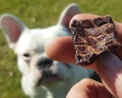 Topdiervoeding Lamslong Hondensnacks - Vers Gedroogd - Knapperig - 1 KG -Hondenbenodigdheden Korting 1200x960