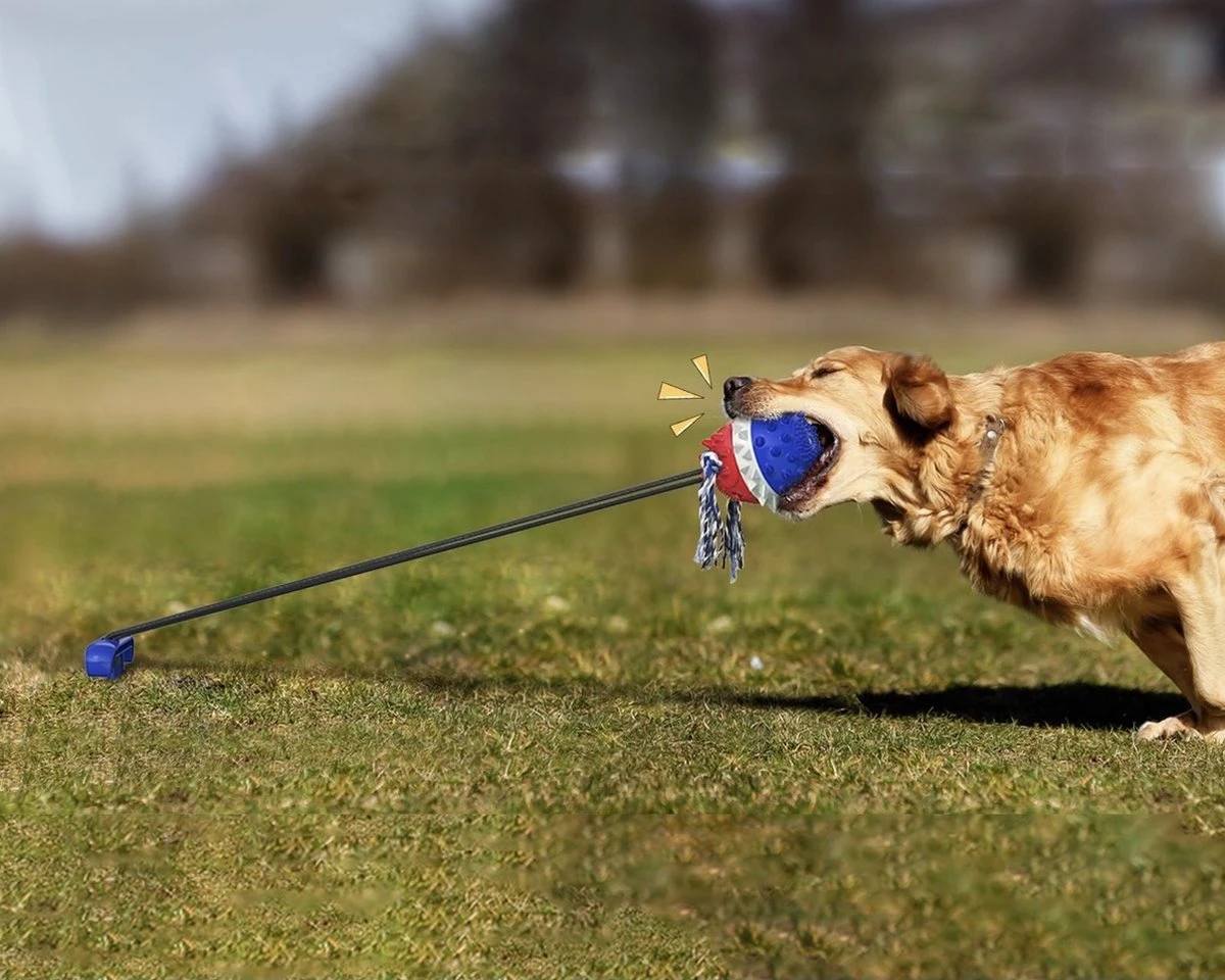 Nixnix - Honden Speelgoed Bal Met Touw - Blauw - Kauwbot - Hondenspeelgoed - Kauwspeelgoed - Onverwoestbaar - Apporteren - Geschikt Voor Alle Honden 2 Nixnix - Honden Speelgoed Bal Met Touw - Blauw - Kauwbot - Hondenspeelgoed - Kauwspeelgoed - Onverwoestbaar - Apporteren - Geschikt Voor Alle Honden - Afbeelding 2
