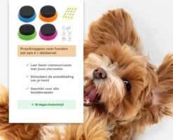 Praatknop Hond – Set Van 4 - Honden Speelgoed – Honden Training – Dogbuttons – Huisdier – Puppy Training - Hondenspeelgoed Intelligentie - Hond Opvoeden 17 Praatknop Hond – Set Van 4 - Honden Speelgoed – Honden Training – Dogbuttons – Huisdier – Puppy Training - Hondenspeelgoed Intelligentie - Hond Opvoeden -Hondenbenodigdheden Korting 1200x972 6