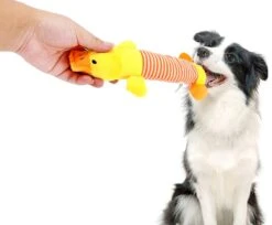 Hiden | Hondenspeelgoed - Pluche - Hondenspeeltjes - Huisdieren - Hondenknuffel | Eend -Hondenbenodigdheden Korting 1200x992 7