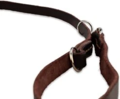 Multifunctionele Hondenriem - 220cm - Bruin - Leren Hondenriem - 100% Volnerfleer - Hondenriem Leer - Leiband Hond 15 Multifunctionele Hondenriem - 220cm - Bruin - Leren Hondenriem - 100% Volnerfleer - Hondenriem Leer - Leiband Hond -Hondenbenodigdheden Korting 1200x993 3