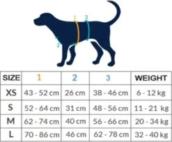 AnnyX Hondentuig - FUN - LIMTED EDITION - Speurtuig - Camouflage - Legergroen - Maat S - Borstomvang 52-64cm - Gewicht Hond 9 -19 Kg - My K9 -Hondenbenodigdheden Korting 1200x995 19