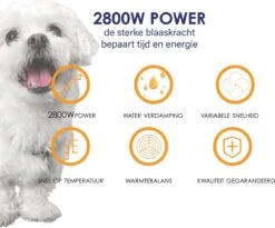 Forgoods Professionele Hondenfohn - Waterblazer Voor Honden - Hondenfohn Met 4 Opzetstukken - 2800W Verstelbaar Vermogen - Roze -Hondenbenodigdheden Korting 1200x997 1