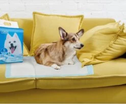 Nobleza 48LXE - Puppy Training Pads - 60 X 90 Cm - Zindelijkheidstraining - 120 Stuks -Hondenbenodigdheden Korting 1200x997 3