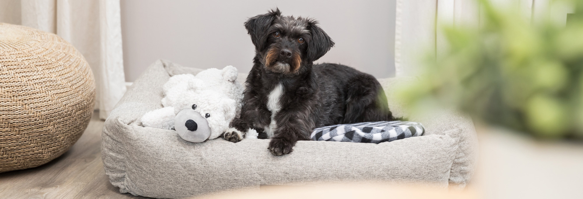 Hondenbenodigdheden Korting -Hondenbenodigdheden Korting 2