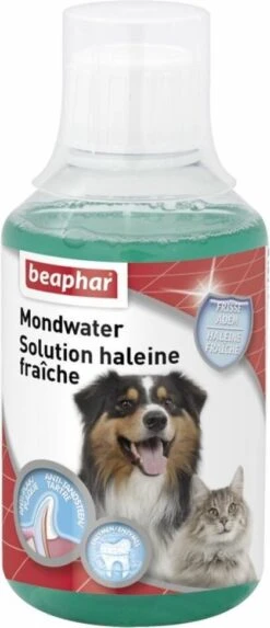 Beaphar Mondwater Hond/Kat - Gebitsverzorging - 3 X 250 Ml 7 Beaphar Mondwater Hond/Kat - Gebitsverzorging - 3 X 250 Ml -Hondenbenodigdheden Korting 517x1200 1