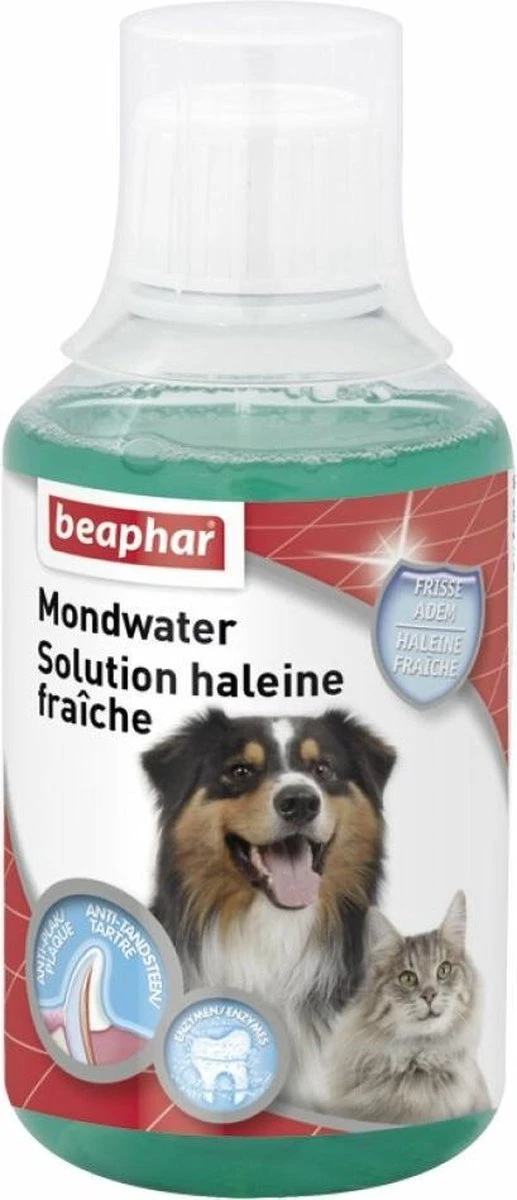 Beaphar Mondwater Hond/Kat - Gebitsverzorging - 3 X 250 Ml 4 Beaphar Mondwater Hond/Kat - Gebitsverzorging - 3 X 250 Ml - Afbeelding 4