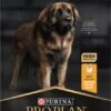 Pro Plan Everyday Nutrition Large Robust Adult - Honden Droogvoer - Kip - 14 Kg