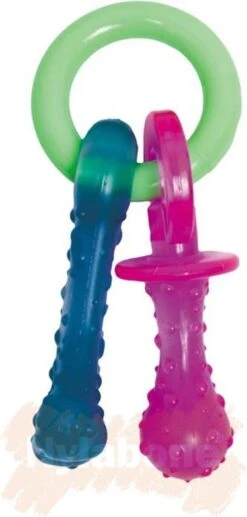 Nylabone Puppy Teething Pacifier Flexible - Hondenspeelgoed - Bacon 215x100x38 Mm 108 G Roze Blauw Groen Tot 11kg Small -Hondenbenodigdheden Korting 573x1200 10