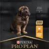 Pro Plan Healthy Start Puppy Large Robust - Honden Droogvoer - Kip - 12 Kg