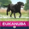 Eukanuba Dog Mature & Senior - Large Breed - Kip - Hondenvoer - 15 Kg