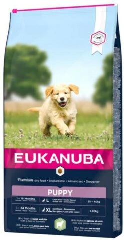Eukanuba Puppy Junior - Medium Breed - Lam & Rijst - 2.5 Kg -Hondenbenodigdheden Korting 621x1200 2