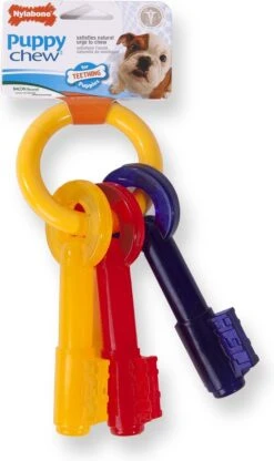 Nylabone Puppy Teething Key Flexible Geel&Blauw&Rood - Hondenspeelgoed - Wolf Tot 16kg -Hondenbenodigdheden Korting 713x1200 3
