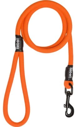 Rebel Petz - Sterke Gevlochten Hondenlijn Van Touw - Kleur: Oranje, Maat: Large 28 Rebel Petz - Sterke Gevlochten Hondenlijn Van Touw - Kleur: Oranje, Maat: Large -Hondenbenodigdheden Korting 730x1200 2