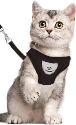 Luxyana® Honden Tuigje - XS - 25-28cm - Geschikt Voor Puppy En Als Kattentuigje - Easy Step-in Hondenharnas - Inclusief Bijpassend Riempje - Zwart -Hondenbenodigdheden Korting 735x1200 4