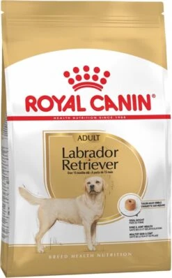 Royal Canin Labrador Retriever Adult 12 KG -Hondenbenodigdheden Korting 744x1200