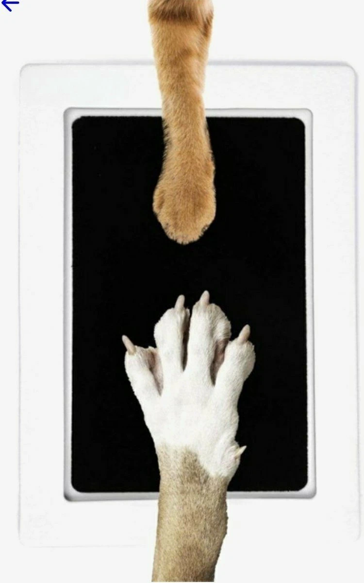 Merkloos Paw Print Pad - Pootafdruk Maken Van Hond Of Kat 1 Merkloos Paw Print Pad - Pootafdruk Maken Van Hond Of Kat