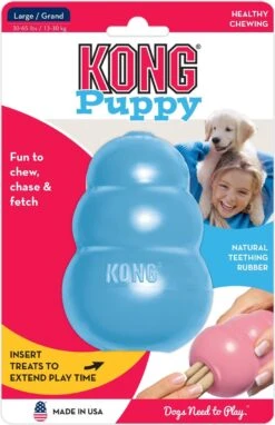 Kong Puppy - Hondenspeelgoed - Assorti - M 27 Kong Puppy - Hondenspeelgoed - Assorti - M -Hondenbenodigdheden Korting 776x1200 2