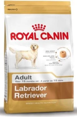 Royal Canin Labrador Retriever Adult 12 KG -Hondenbenodigdheden Korting 789x1200 1