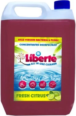 Geurverwijderaar - Liberté All In One Cleaner - Desinfectie - Dieren - Huis - Auto - Kantoor - Schoonmaakmiddel - 5L - Fresh Citrus