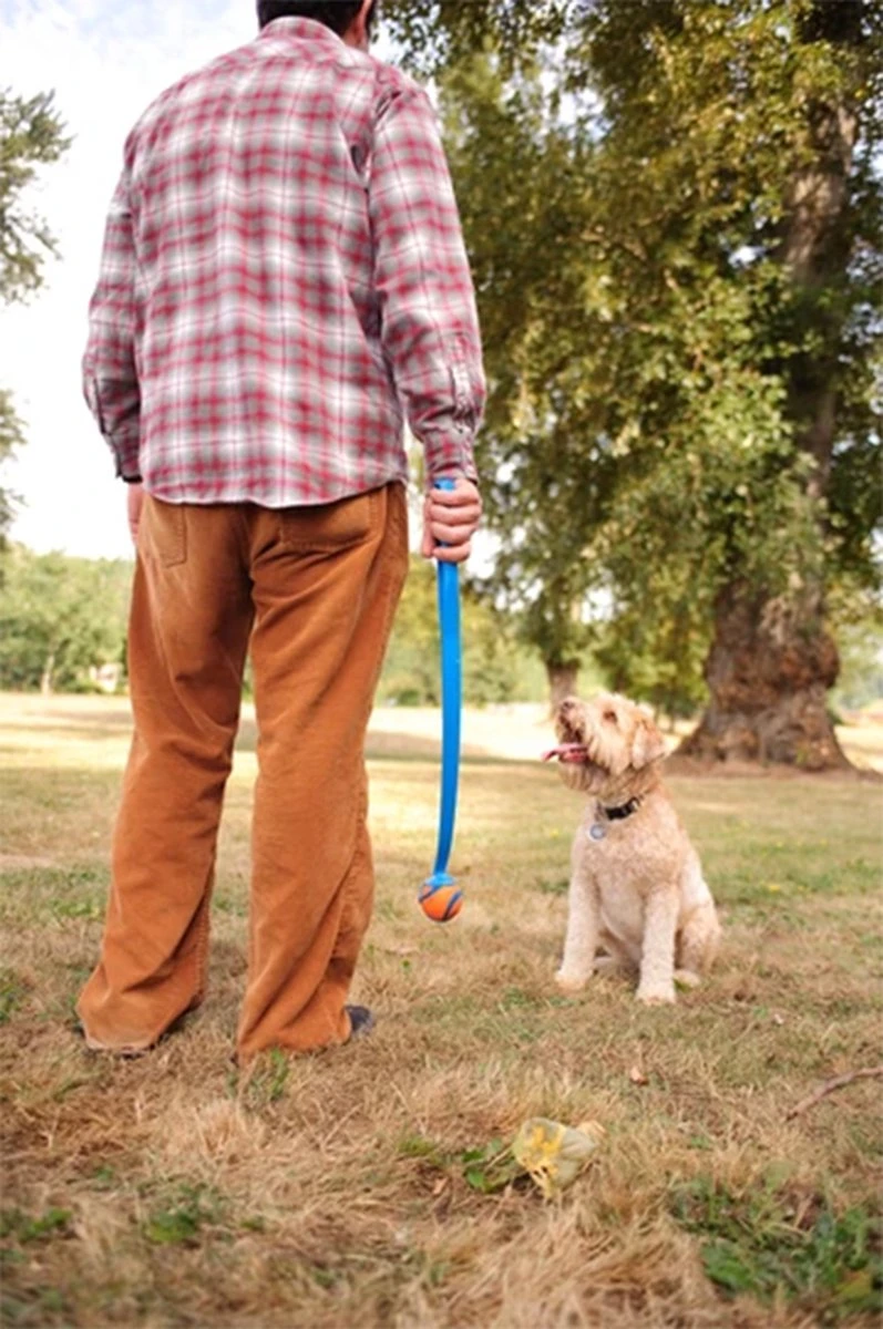 Chuckit! Ultra Ball M – Honden Speelgoed – Hondenbal– Drijft Op Water – Stuitert – Veilig Voor Gebit – Honden Bal – Ideaal Met De Ballenwerper – Ø 6cm – Oranje/Blauw – Hondenspeeltjes– 4-Pack 5 Chuckit! Ultra Ball M – Honden Speelgoed – Hondenbal– Drijft Op Water – Stuitert – Veilig Voor Gebit – Honden Bal – Ideaal Met De Ballenwerper – Ø 6cm – Oranje/Blauw – Hondenspeeltjes– 4-Pack - Afbeelding 5