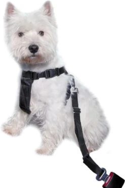 Trixie Auto-Tuig Zwart Maat - M 27 Trixie Auto-Tuig Zwart Maat - M -Hondenbenodigdheden Korting 798x1200 8