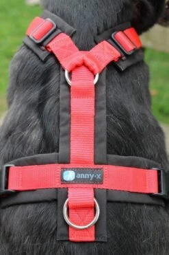 Annyx Hondentuig Harnas Zwart Rood - Y Model - Maat S Is Geschikt Voor Borstomvang 52-64cm. -Hondenbenodigdheden Korting 799x1200 10