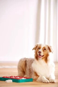 Nina Ottosson - Hondenspel - Dog Brick 13 Nina Ottosson - Hondenspel - Dog Brick -Hondenbenodigdheden Korting 799x1200 9