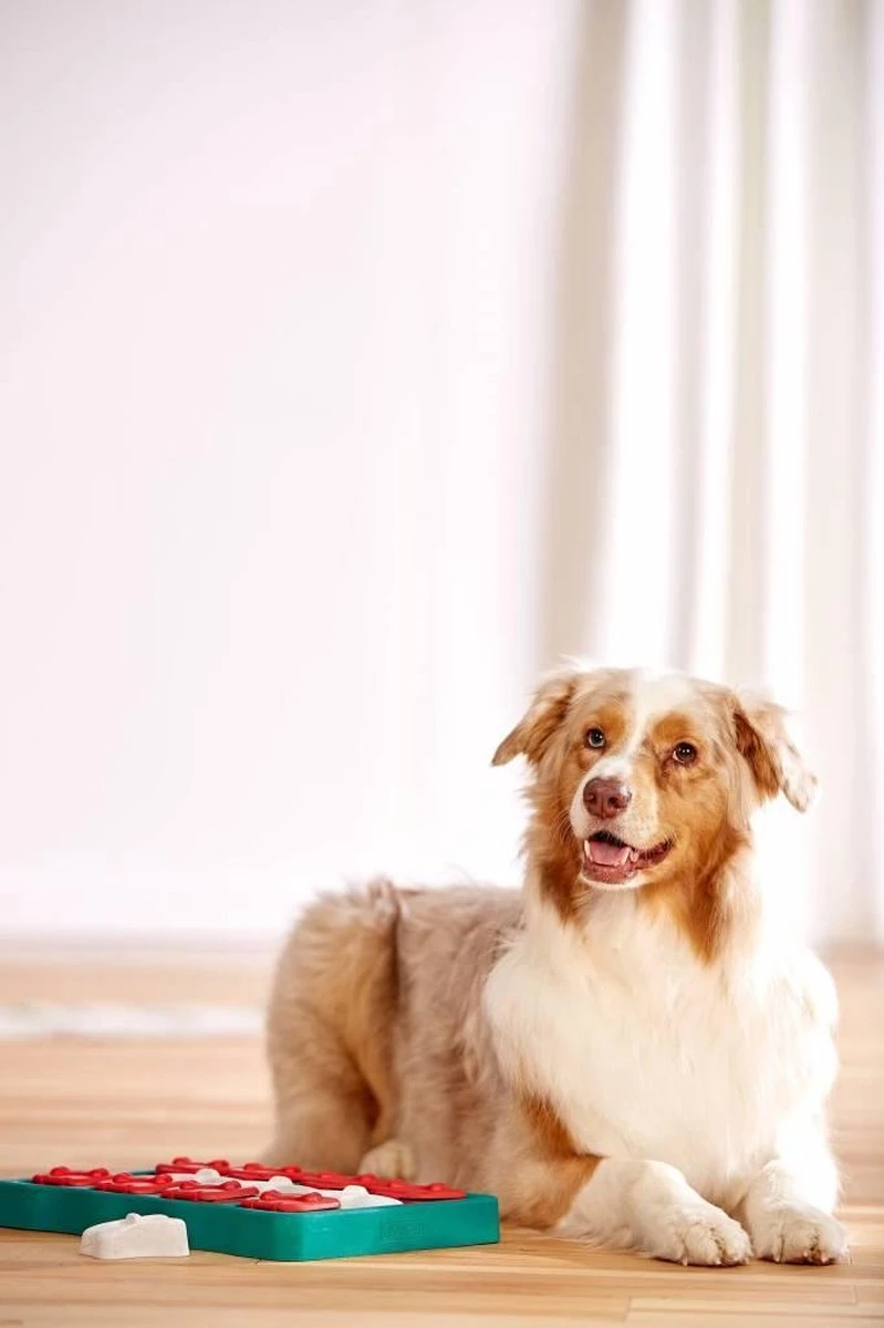 Nina Ottosson - Hondenspel - Dog Brick 5 Nina Ottosson - Hondenspel - Dog Brick - Afbeelding 5