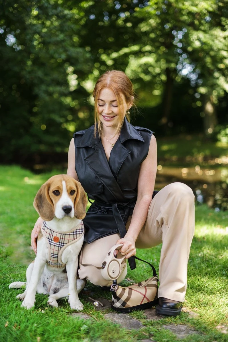 Hondenriem - Leiband Hond - Rollijn - 5 Meter - Beige - Riem Met Oprolsysteem - Hondenriem Flexi - Hondenlijn - Uitlaatriem 6 Hondenriem - Leiband Hond - Rollijn - 5 Meter - Beige - Riem Met Oprolsysteem - Hondenriem Flexi - Hondenlijn - Uitlaatriem - Afbeelding 6