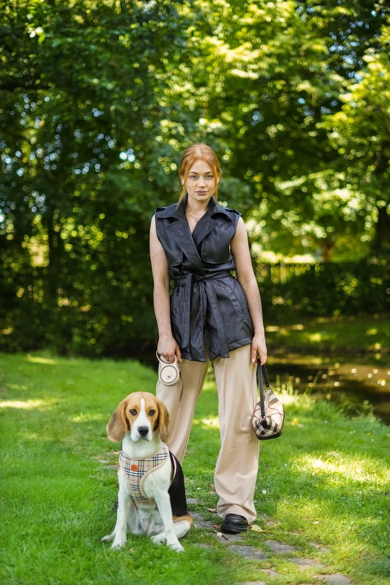 Hondenriem - Leiband Hond - Rollijn - 5 Meter - Beige - Riem Met Oprolsysteem - Hondenriem Flexi - Hondenlijn - Uitlaatriem 8 Hondenriem - Leiband Hond - Rollijn - 5 Meter - Beige - Riem Met Oprolsysteem - Hondenriem Flexi - Hondenlijn - Uitlaatriem - Afbeelding 8