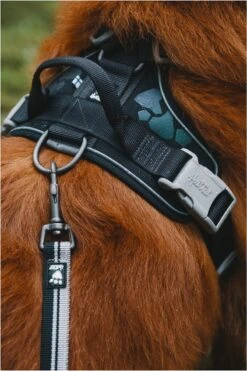 Hurtta Weekend Warrior Eco Harness - 80/100 Cm - Hedge -Hondenbenodigdheden Korting 800x1200 64