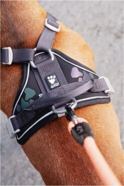 Hurtta Weekend Warrior Eco Harness - 45/60 Cm - Hedge -Hondenbenodigdheden Korting 800x1200 71
