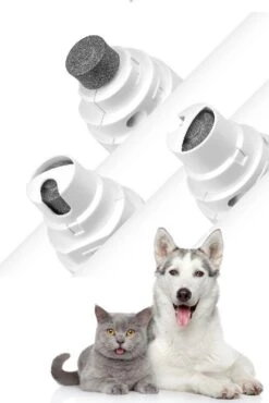 Elektrische NagelVijl / Nagelknipper Kat / Nagelknipper Hond / Nageltrimmer / Draadloos / Diamante Vijlkop / Honden/Katten/Knaagdieren 7 Elektrische NagelVijl / Nagelknipper Kat / Nagelknipper Hond / Nageltrimmer / Draadloos / Diamante Vijlkop / Honden/Katten/Knaagdieren -Hondenbenodigdheden Korting 802x1200