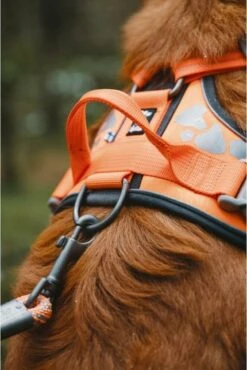 Hurtta Weekend Warrior Harness Zwart Maat - 60-80 -Hondenbenodigdheden Korting 802x1200 9