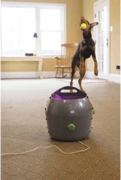 PetSafe Automatische Ballenwerper - Dierenspeelgoed -Hondenbenodigdheden Korting 806x1200 1