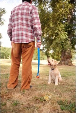 Chuckit! Chuckit Pro Ball - Werpstok - Apporteren- 25m Ver - 63 Cm -Hondenbenodigdheden Korting 813x1200 4