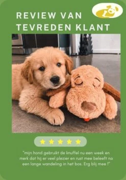 Woefie Hondenknuffel Met Hartslag - Puppyknuffel - Pluche- Puppy Speelgoed- Snuggle Puppy Xl- Knuffel Hond- Baby Knuffel- Knuffel Met Hartslag - Moederhond - Gratis E-Boek - Gratis Schroevendraaier -Hondenbenodigdheden Korting 840x1200 7