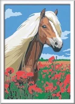 Ravensburger Schilder Op Nummer 3in1 Set Dieren -Hondenbenodigdheden Korting 868x1200 5