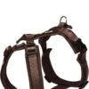 Hondentuig Petlando Mesh Y-Comfort Harness XS Mokka Buikomtrek: 32-50 Cm, Nekomtrek: 28-52 Cm. Breedte: 15 Mm