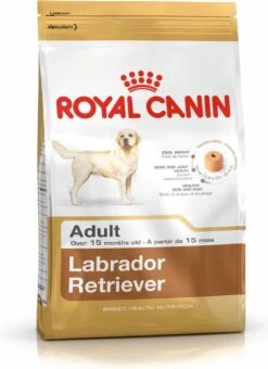 Royal Canin Labrador Retriever Adult 12 KG -Hondenbenodigdheden Korting 873x1200