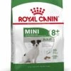 Royal Canin Mini Adult 8+ - Hondenvoer - 800 G