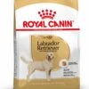Royal Canin Labrador Retriever Adult 12 KG